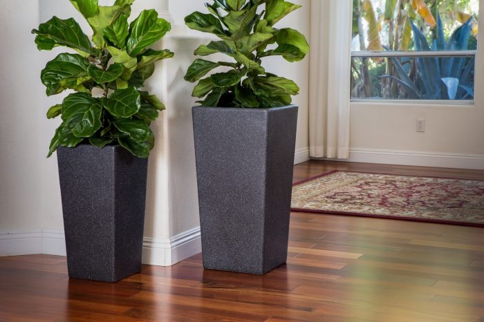 Plant pots for indoor plants