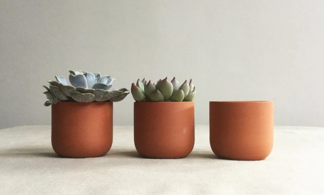 Unusual small terracotta plant pots