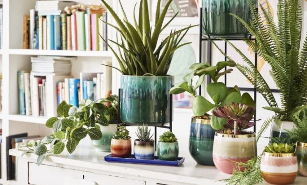 Indoor pot plant pots