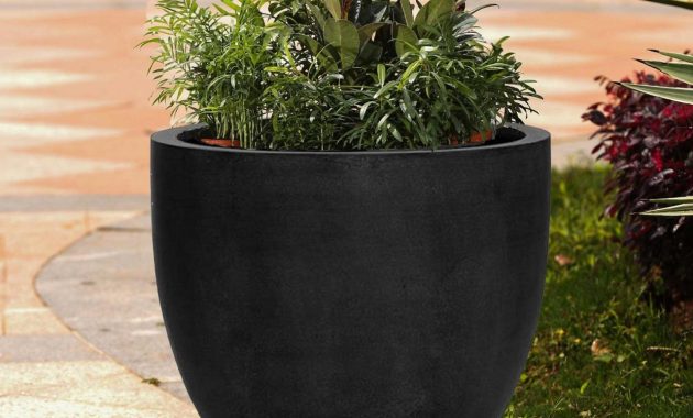 Plant pots for indoor plants